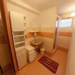 Apartment Janouskovi *
