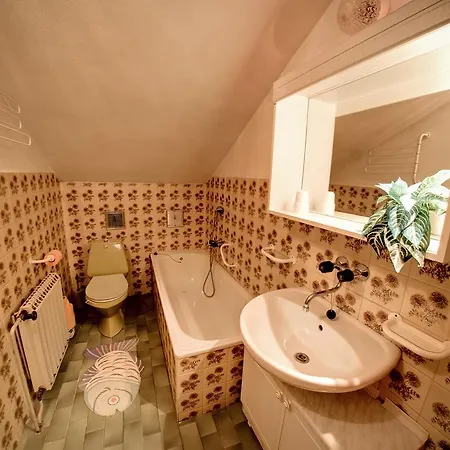 Apartment Janouskovi