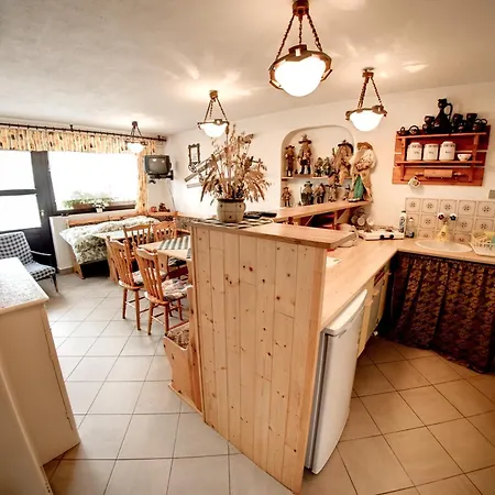 Janouskovi Apartment *